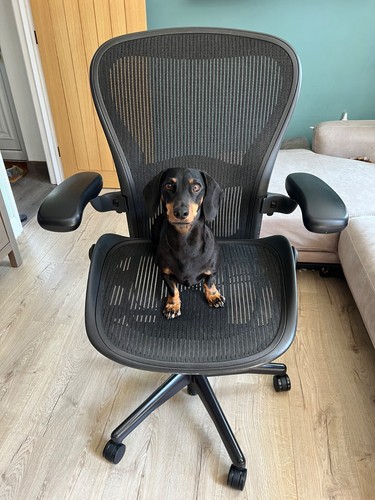 Herman miller aeron size - herman, c